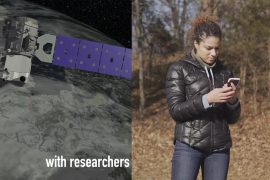 NASA app makes it easy to measure trees