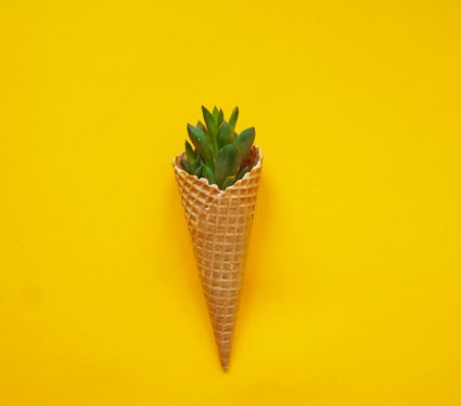 2019/03/Garden-Cone.jpg