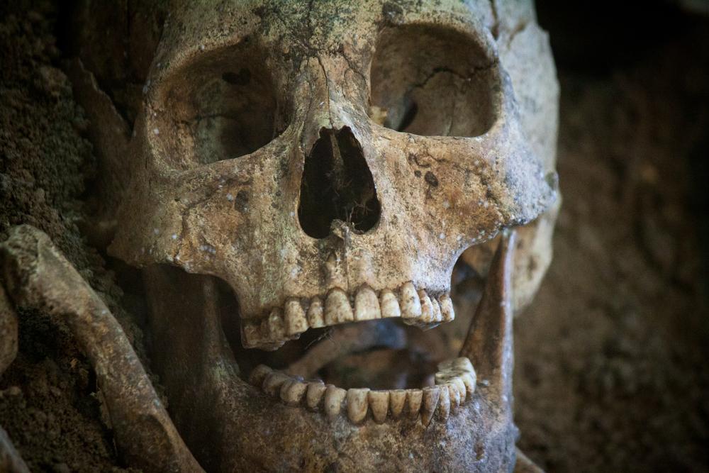 Ancient teeth offer intriguing theory of human relative