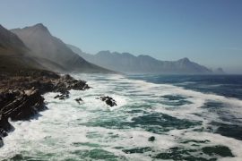 Brand new insights from the world's oldest fish