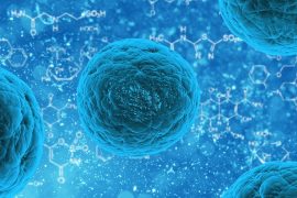 2019/04/bacteria-163711.jpg