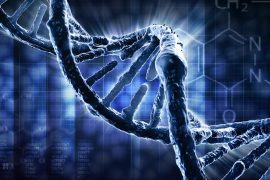 Cleaner fuels and better drugs from synthetic proteins