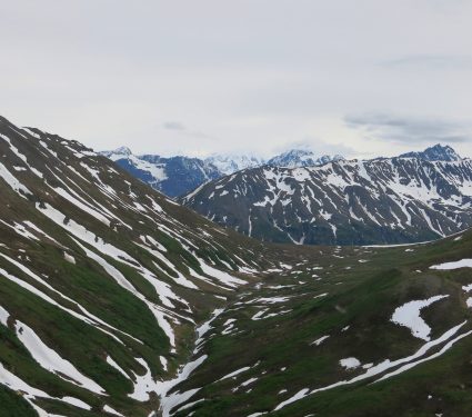 2019/05/Alaska-Tundra.jpg