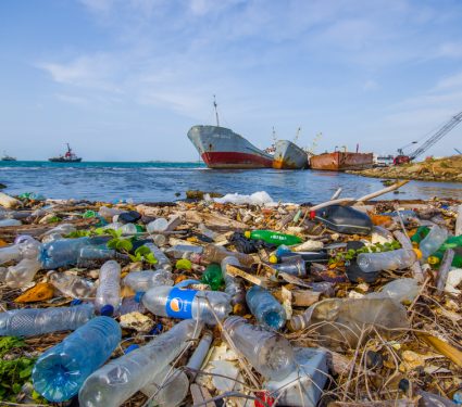 2019/05/Environ-Pollutants.jpg
