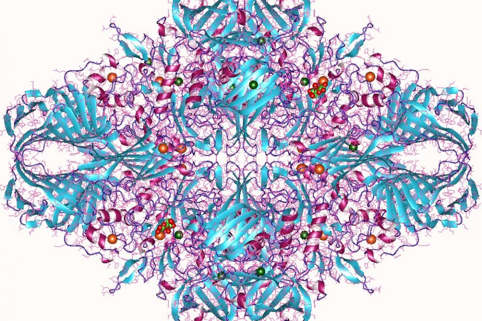 What Is Proteomics?