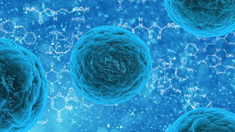 The Strange Shapes of Bacteria