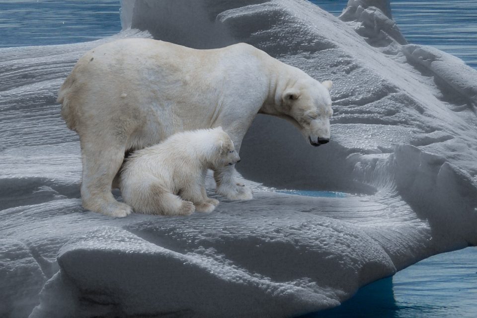 7 Climate Change Facts You Might Not Know
