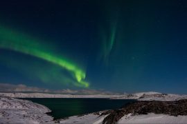 Our genetic heritage from the Arctic