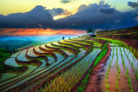 Terraced,Paddy,Field,In,Mae-jam,Village,,,Chaingmai,Province,,