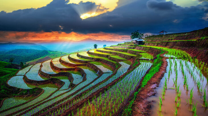 Terraced,Paddy,Field,In,Mae-jam,Village,,,Chaingmai,Province,,