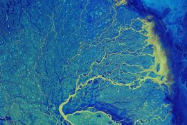 The Lena River Delta from space