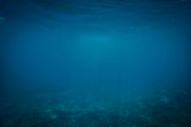 2019/06/underwater-8020921.jpg
