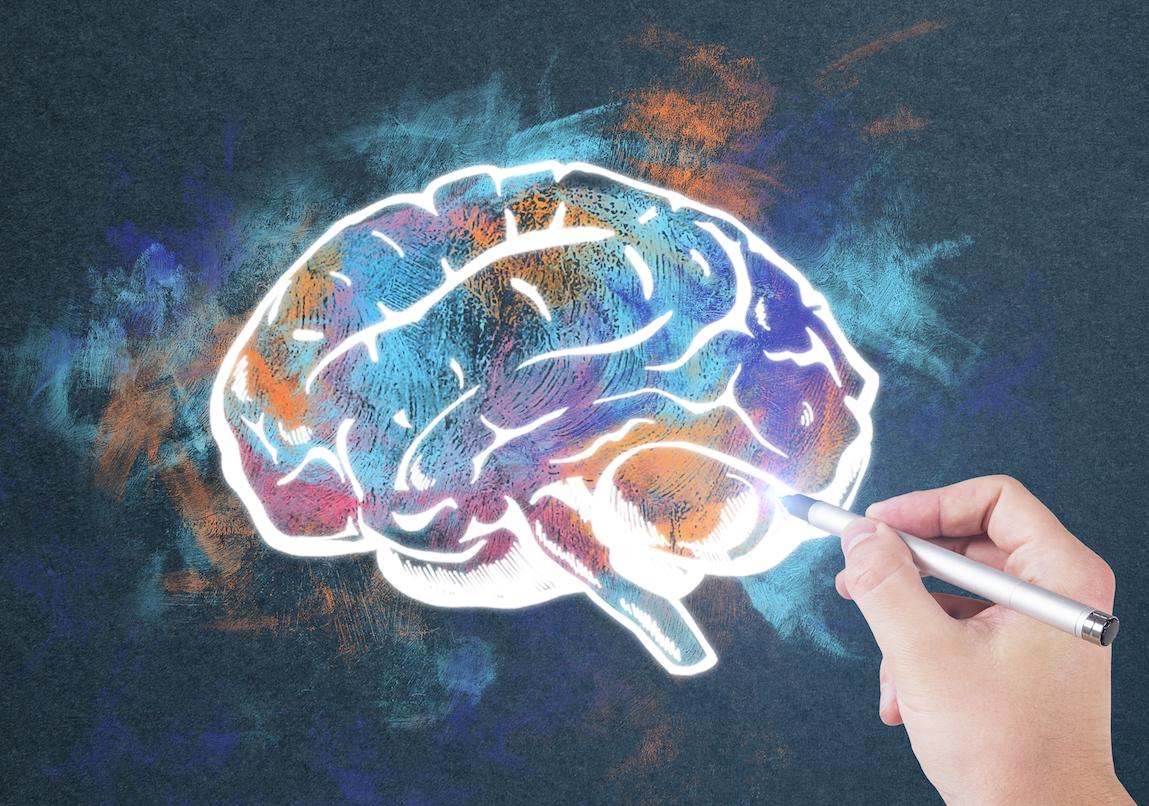 Variety may be key to helping us store memories