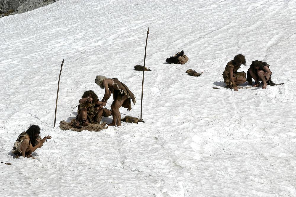 Neanderthals used gluey pine resin to make tools