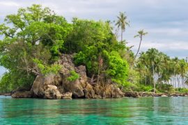 How do you make ocean water drinkable?