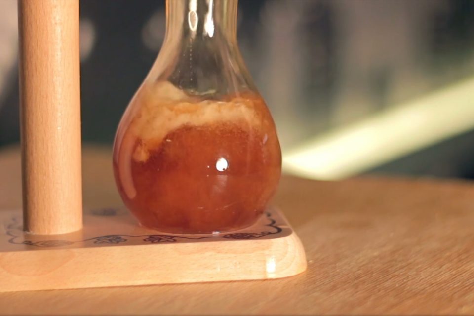 What Is the Scientific Method?