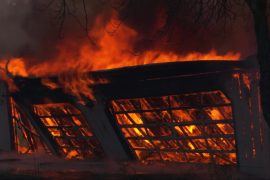 Climate change will lead to more wildfires