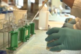 New immunotherapy strategy may improve cancer treatment