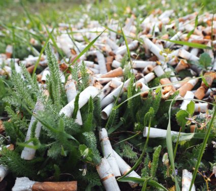 2019/07/Cigarette-Butts.jpg