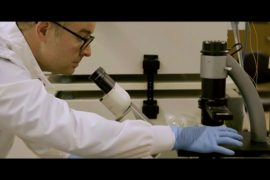 Targeting cells that cause cancer and aging