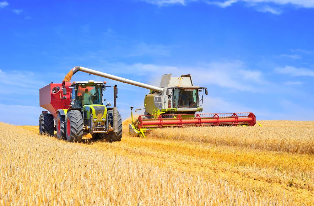 UN: Bioenergy projects won't solve climate change
