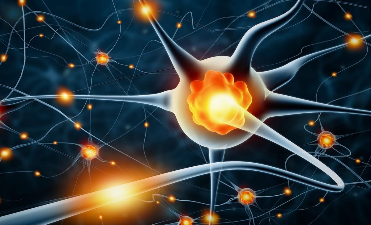 Psychophysical laws explore how the mind perceives the physical world