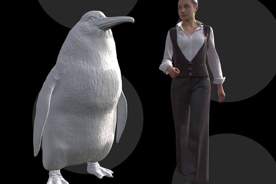 Newly described species of extinct penguin was 5 feet tall