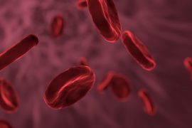 2019/08/red-blood-cells-3188223_1920.jpg