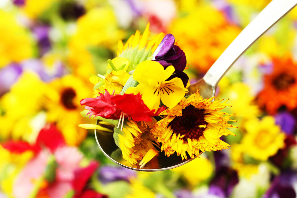 Most Popular Edible Flowers (And How to Eat Them)