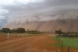 Students launch a dust storm warning app