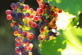 Innovations for space have benefits on Earth