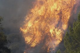 Scientists work to improve fire prediction models