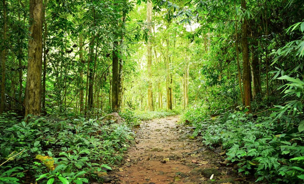 Rising temperatures will cause devastating biodiversity losses 