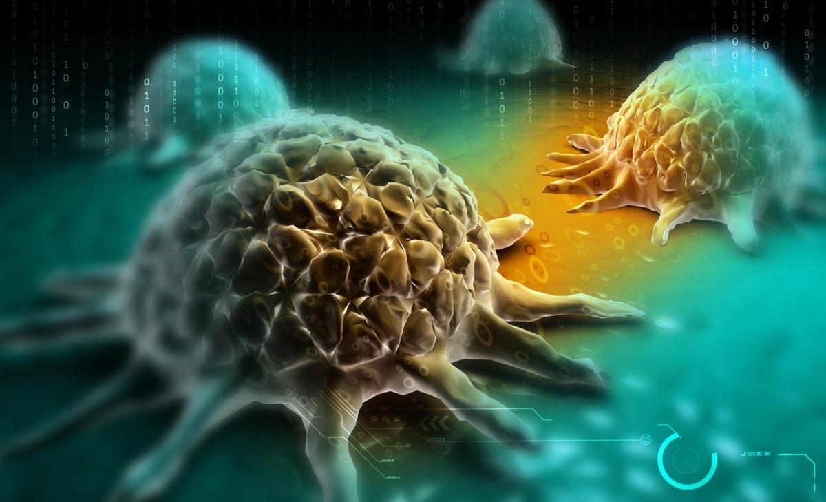 Cancer cells shield themselves from death after radiation