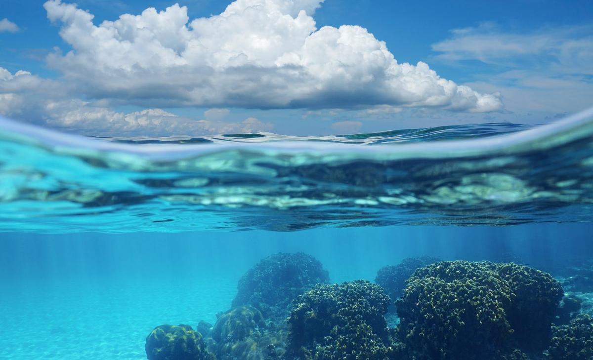 Ancient mass extinction event was caused by ocean deoxygenation