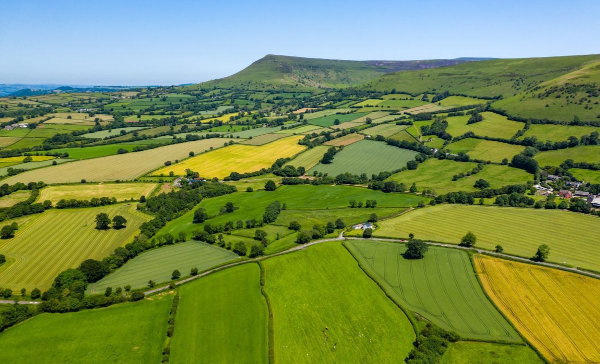 High-yield farming could preserve wildlife habitats