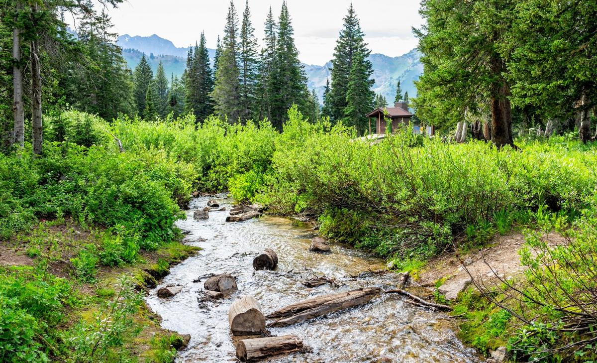 Snowmelt changes may greatly affect farmers in western U.S.