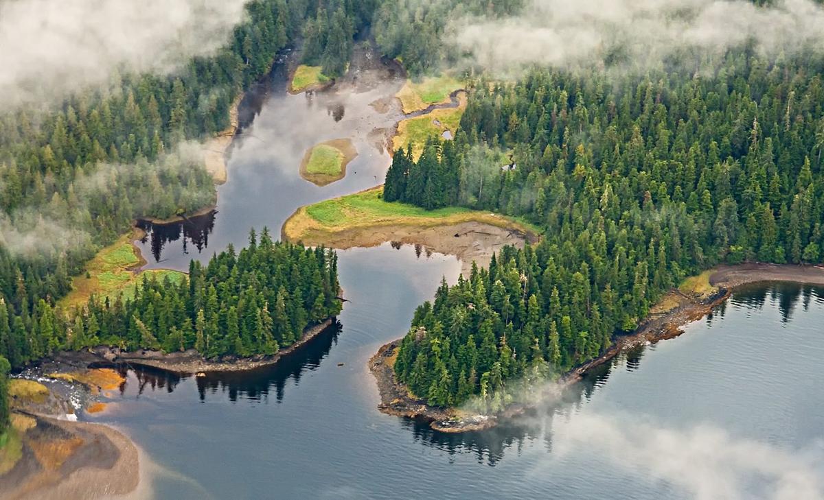 Trump's plan would "irreversibly devastate" the Tongass National Forest