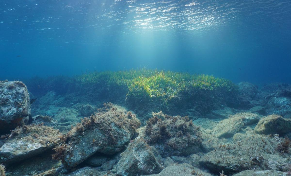Massive concentrations of microplastics found on the seafloor