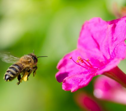 2020/05/shutterstock_151990511.jpg