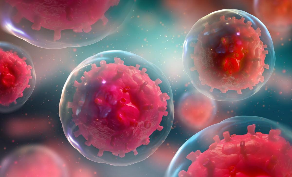 Stem cells can delay their death to help heal injuries