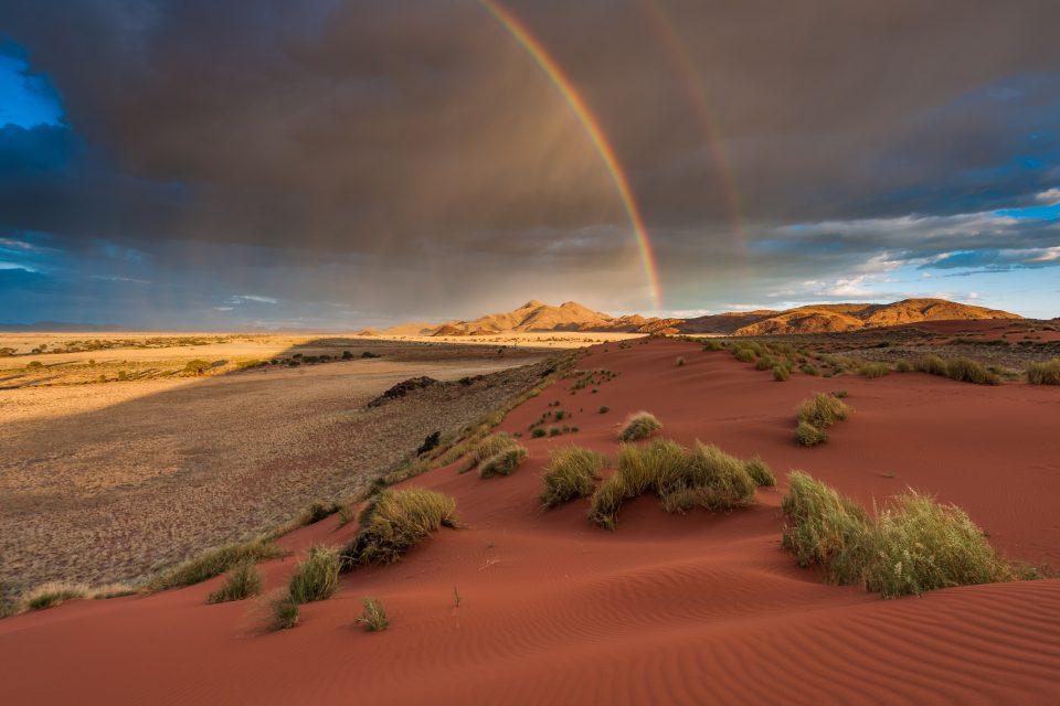 Water vapor and soil moisture can predict afternoon rainfall