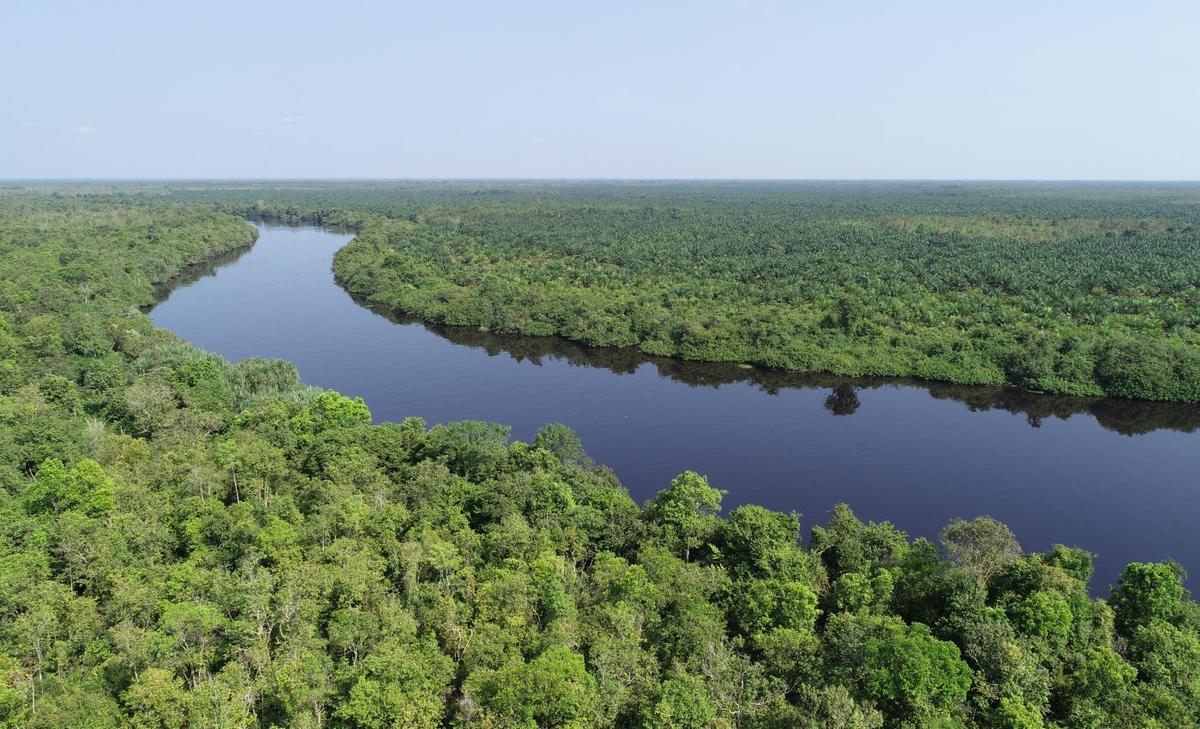 Peatlands become fuel for wildfires in a warming climate
