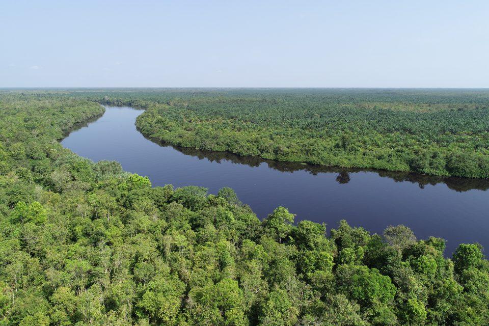 Peatlands become fuel for wildfires in a warming climate