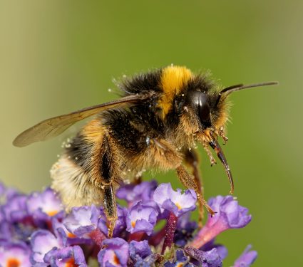 2020/05/shutterstock_580773712.jpg