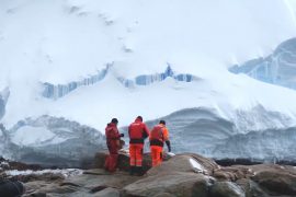 New island appears in Antarctica