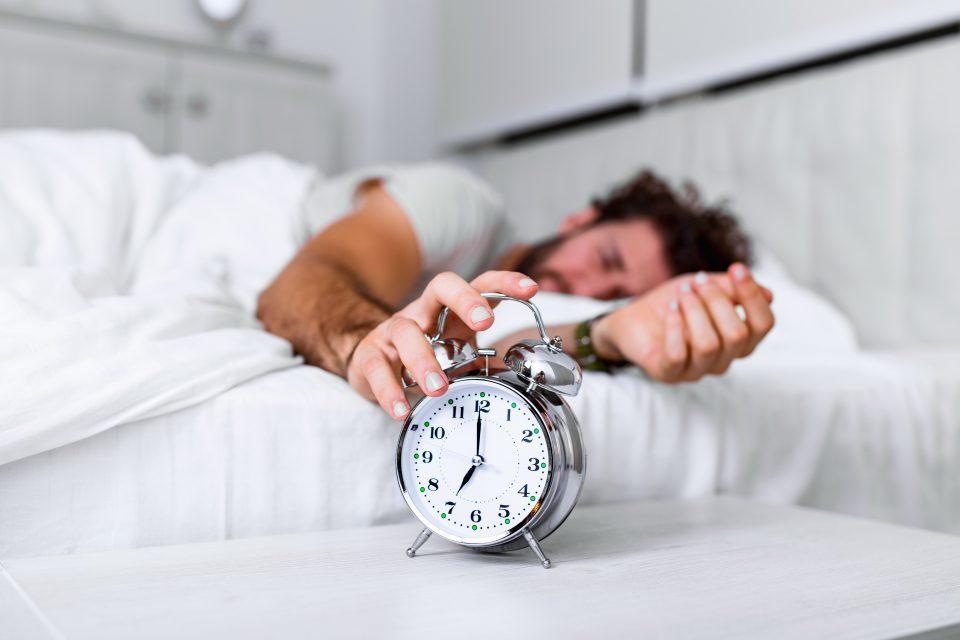 Fruit flies reveal why we sleep more in cold weather