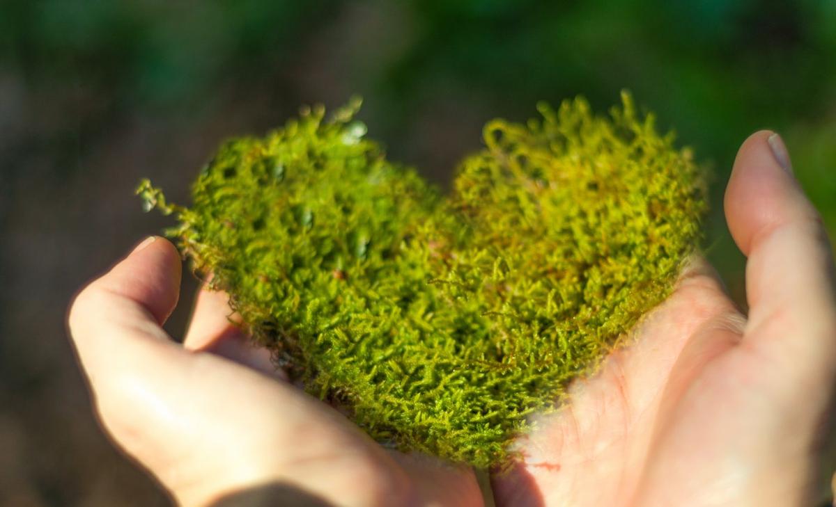 UN hosts International Day for Biological Diversity