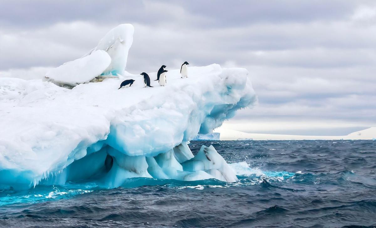 Antarctic ice sheets once retreated by 50 meters a day
