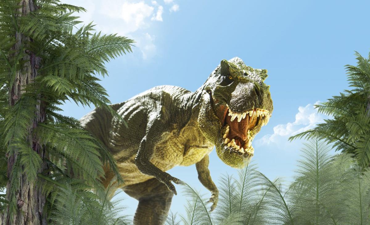 Experts find evidence of cannibalism among dinosaurs